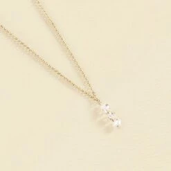 Collier Ras Du Cou PETILLE - Cristal / Doré